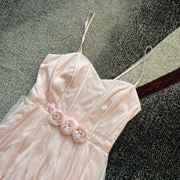 Pear Culture Sweetheart Neck Rose Waist Corkscrew Tulle Dress - Picture 4 of 8